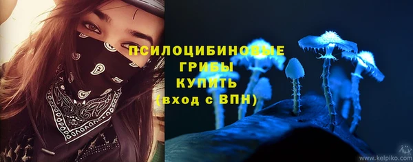 МДПВ Тавда