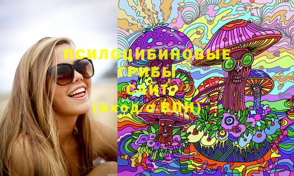 МДПВ Тавда