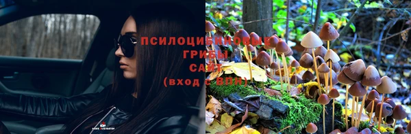 МДПВ Тавда