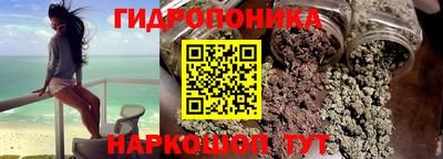 трава Бийск