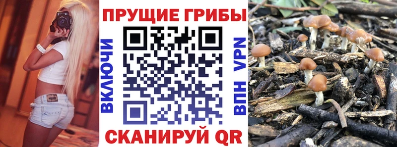 Псилоцибиновые грибы Magic Shrooms  Дубна 