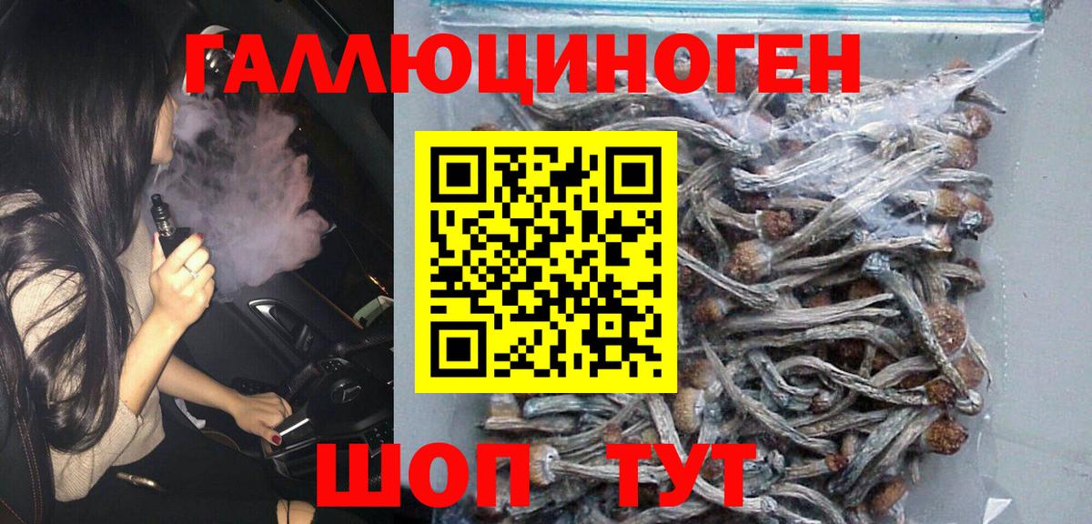 Псилоцибиновые грибы MAGIC MUSHROOMS Дубна